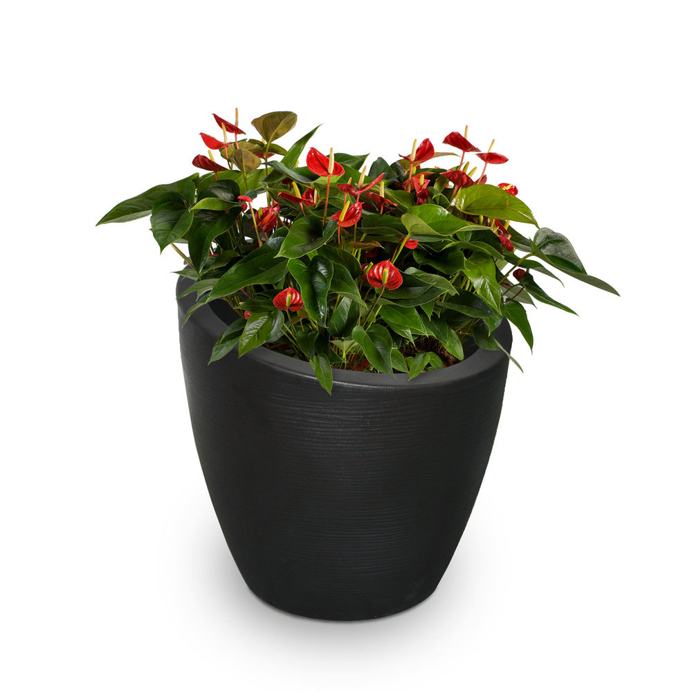 Modesto 20in Round Planter